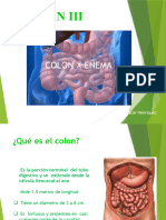 2 CLASE DE COLON POR ENEMA Clase