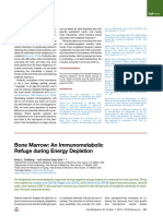 Bone Marrow An ImmunometabolicRefuge During Energy Depletion