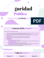 Seguridad Publica