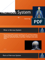 Nervous System - Harshit Nag