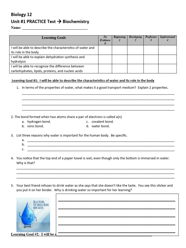 Biochem Practice Test Nov 2020 No Enzymes PDF Lipid Macromolecules