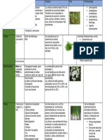 Medicinas Alternativas