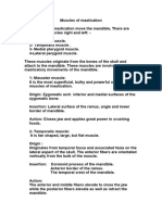 Muscles of Mastication