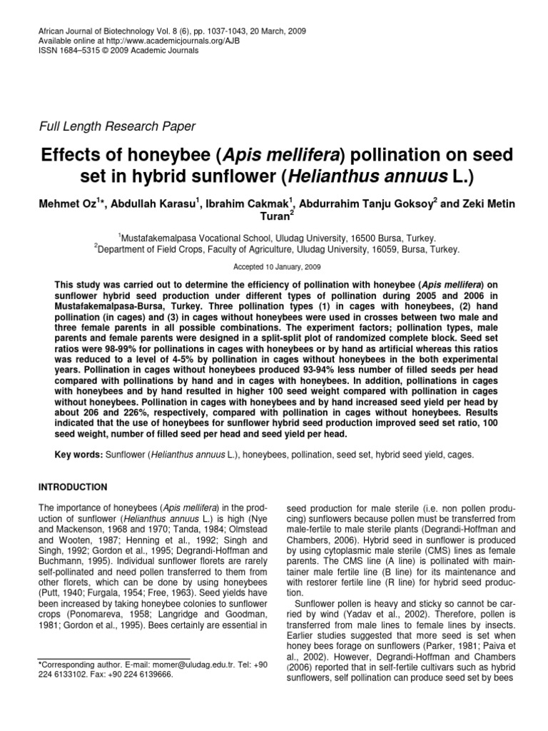Honeybee Impact on Sunflower Seed Yield | PDF | Honey Bee | Pollination