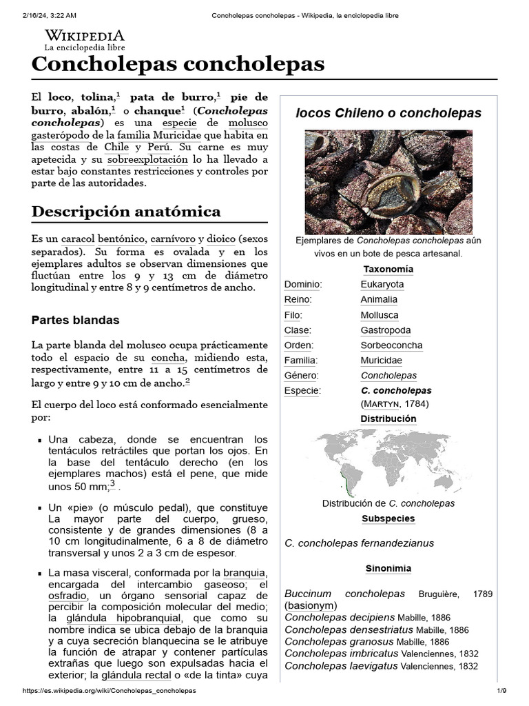 Anatomía y ciclo de vida del loco chileno | PDF | Anatomía | Órgano ...