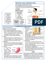 16 Digestion N Absorption