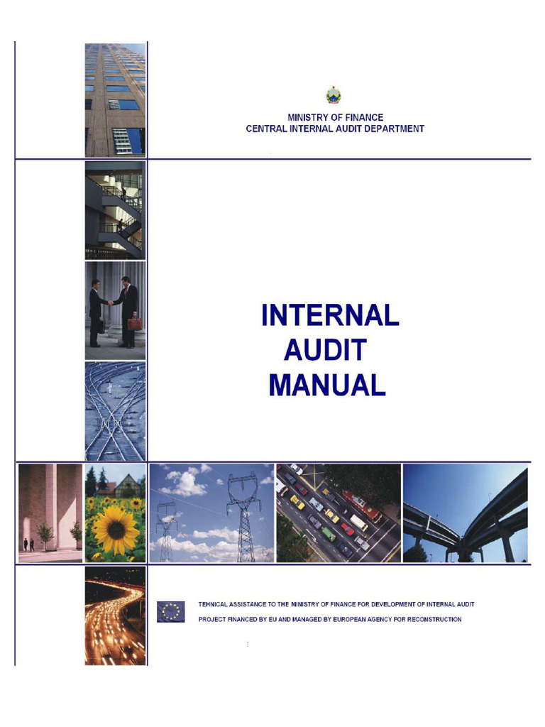 Internal Audit Manual Overview | PDF | Finance & Money Management