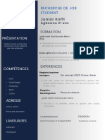 Minimalist CV Resume