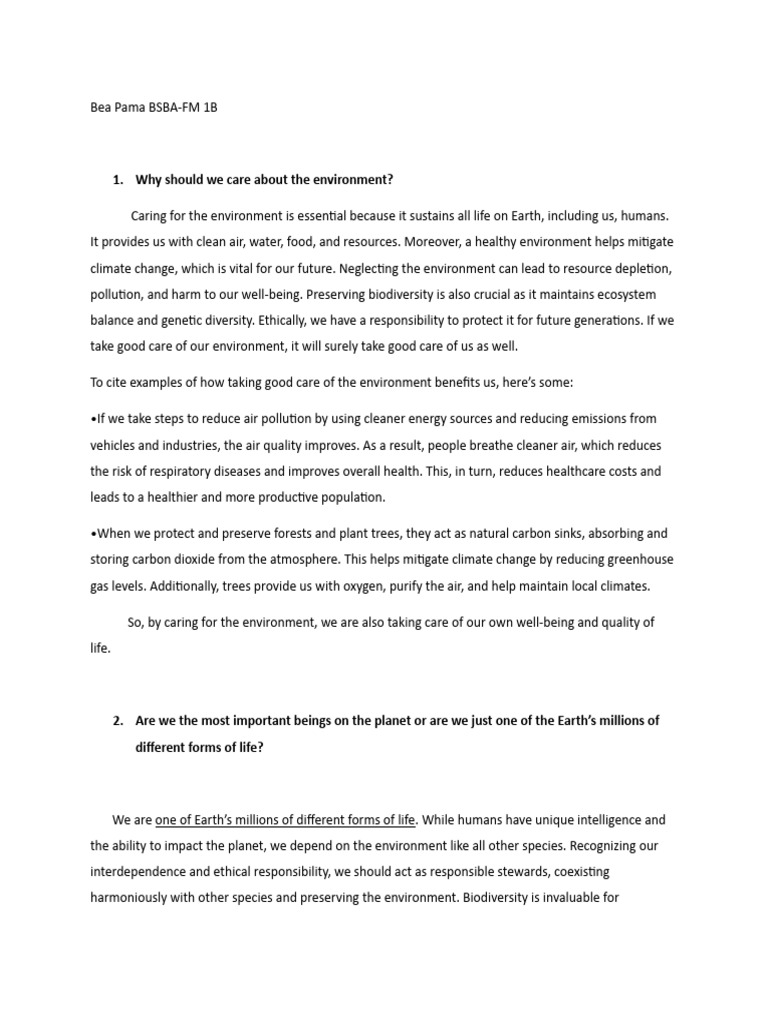 Importance of Environmental Care | PDF | Natural Environment | Air ...