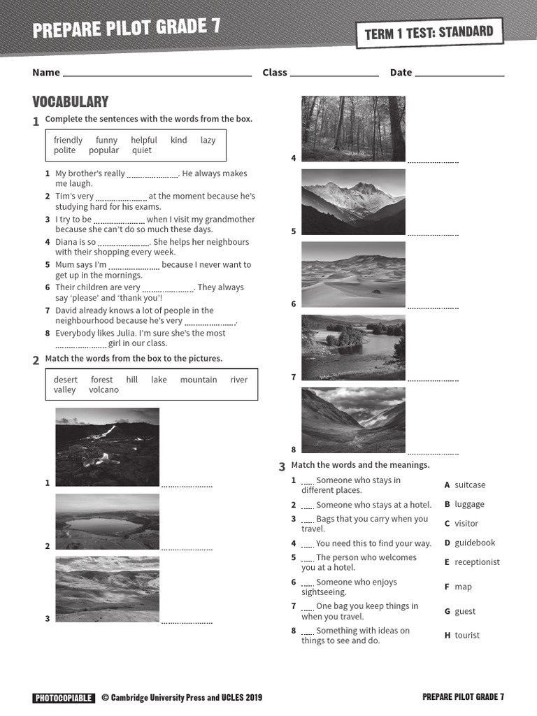 Grade 7 Test Preparation Guide | PDF