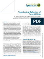 Higgins Et Al 2015 Topological Behavior of Plasmid Dna