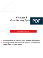 Other Sensory Systems