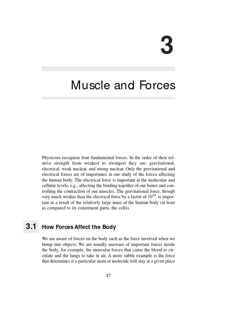 3 Muscle and Forces | PDF | Muscle Contraction | Vertebral Column