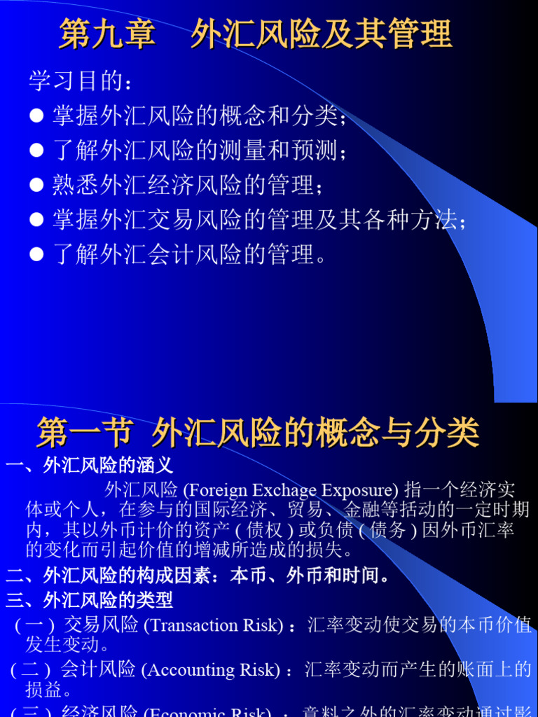 第九章外汇风险及其管理| PDF