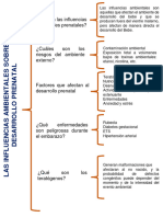 Tema (Las Influencias Ambientaes Sobre El Desarrollo Prenatal)