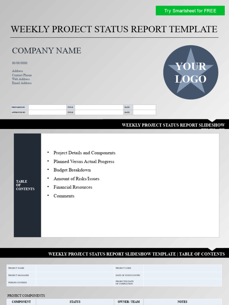 Weekly Project Status Report Template | PDF | Computing
