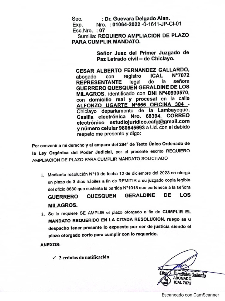Requiero Ampliacion de Plazo para Cumplir Mandato | PDF