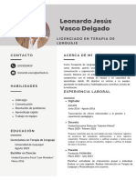 Currículum Leonardo Vasco