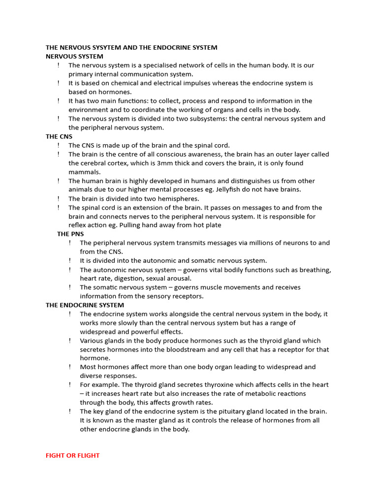 Nervous and Endocrine System Overview | PDF | Nervous System | Central ...