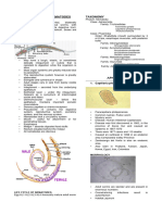 Aphasmids 2