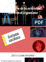 Sistemas Del Cuerpo Humano