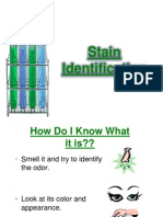 Stain Identification