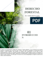 Derecho Forestal