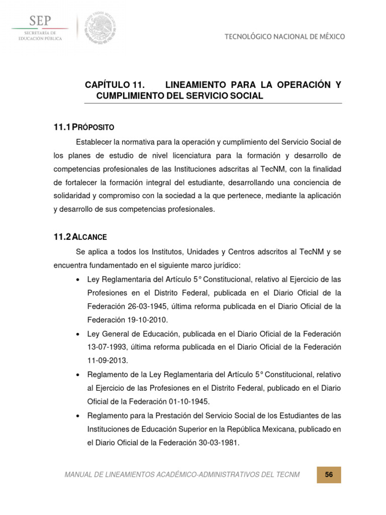 Manual De Lineamientos Del Tecnm