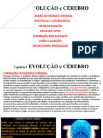 Capítulo 9 Evolução e Cérebro