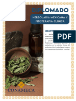 Herbolaria Mexicana Y Fitoterapia Clínica