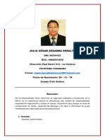 Cv Julio César Zegarra Peralta 2024