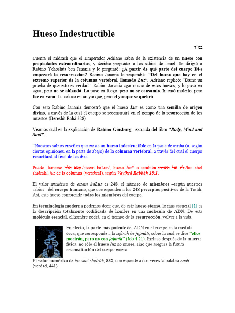 hueso-indestructible-pdf-creencia-religiosa-y-doctrina