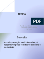 Orelha - JRKJ - 2020 VCI-1101 07junho2020