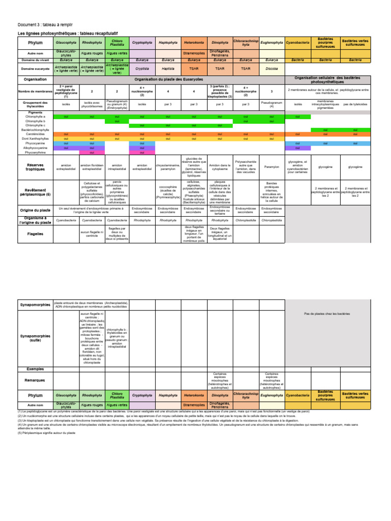 Tableau Algues PDF Cellule (Biologie) Chloroplaste — free download
