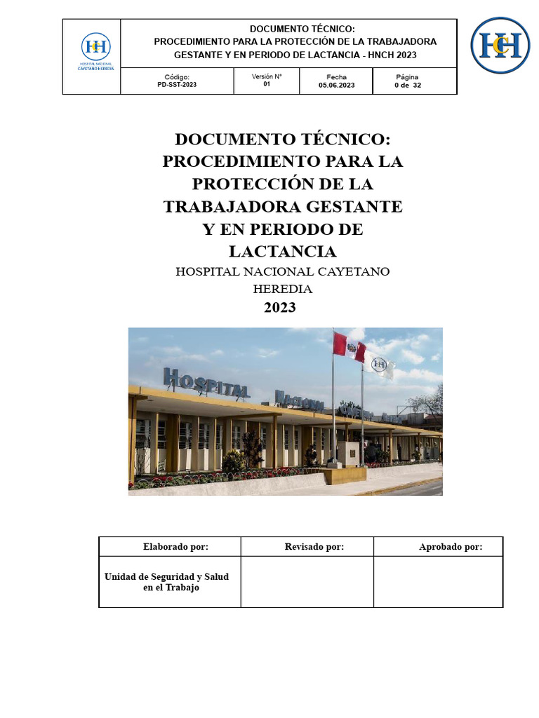 Protección Laboral Maternal HNCH | PDF | El embarazo | Amamantamiento