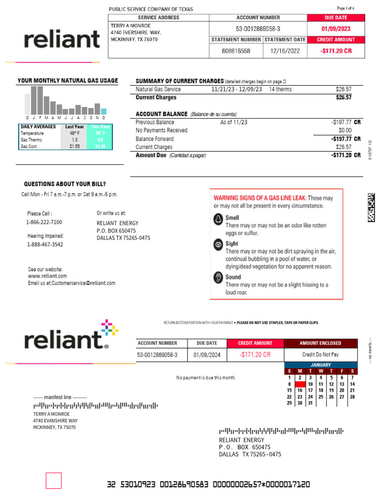 Reliant Energy Bill Summary | PDF | Economies