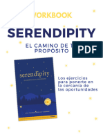 Workbook Serendipity