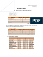 Informe de Avance