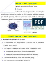 Virology Lecture 2