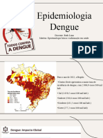 Epidemiologia Dengue