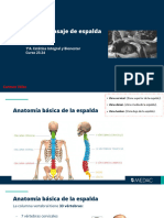 Tema+8 +anatomia