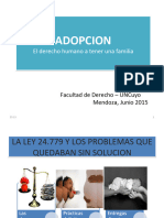 Adopcion y Procesos 2015