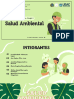 Salud Ambiental - Grupo 8