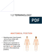 1.2 Terminology f2f-s1b2-23