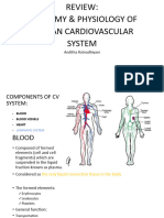 Anatomy of Heart