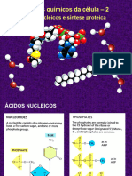 Acidos Nucleicos e Biologia Molecular