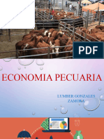 Ecoomia Pecuaria (Van-Tir)