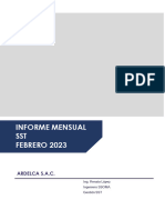 Ardelca - Informe Mensual - SST - Febrero - 2023