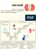 Insuficiencia Renal - 20231201 - 152000 - 0000