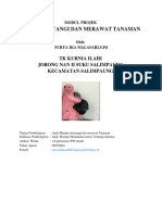 Modul Projek - MENYAYANGI DAN MERAWAT TANAMAN - Fase Fondasi